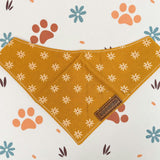 Bandana