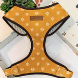 Harness