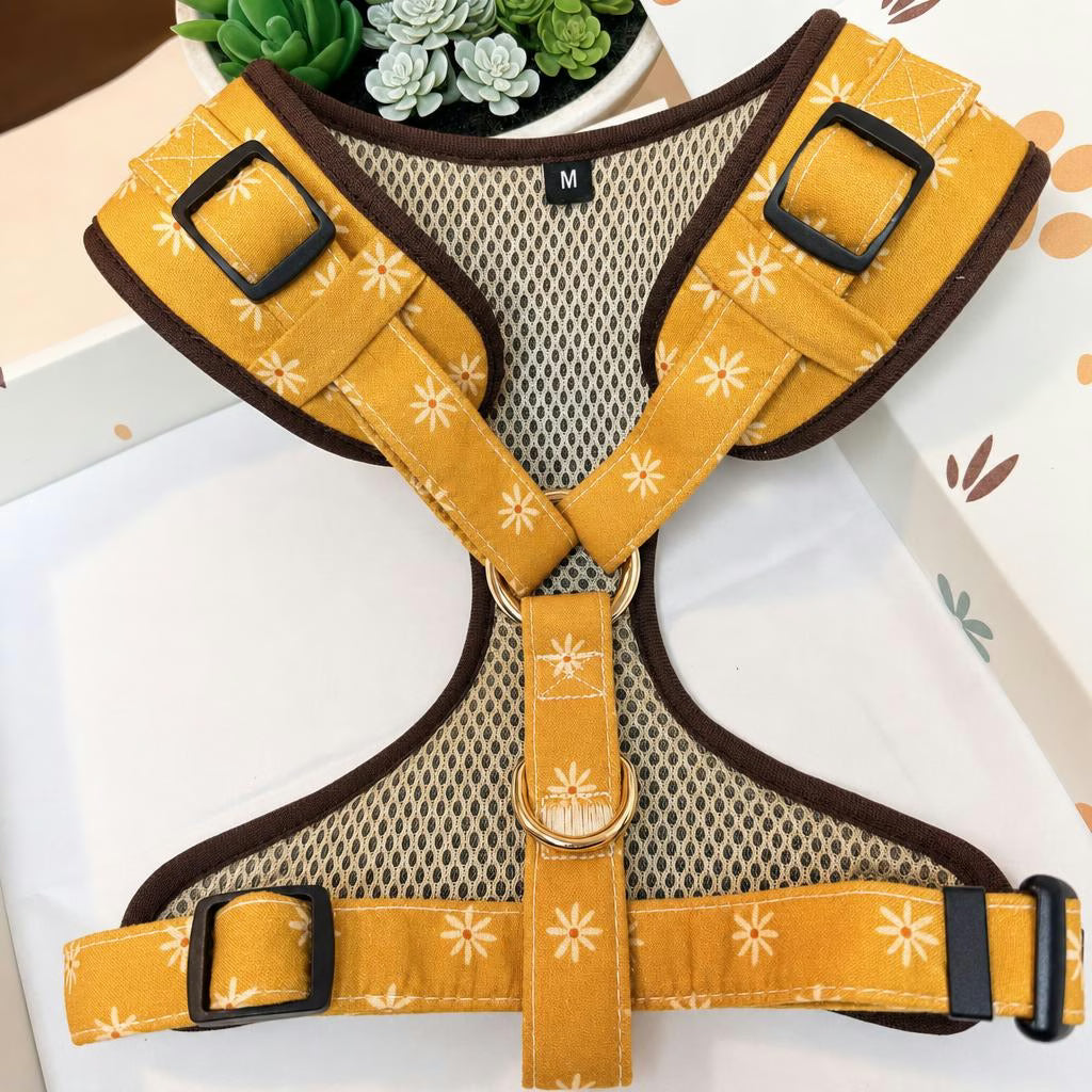 Designed Autumn Daisy Floral Dog Vest Set