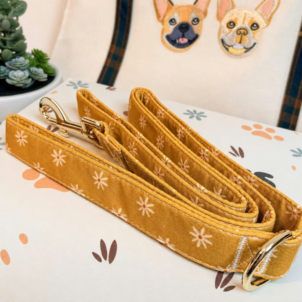Designed Autumn Daisy Floral Dog Vest Set