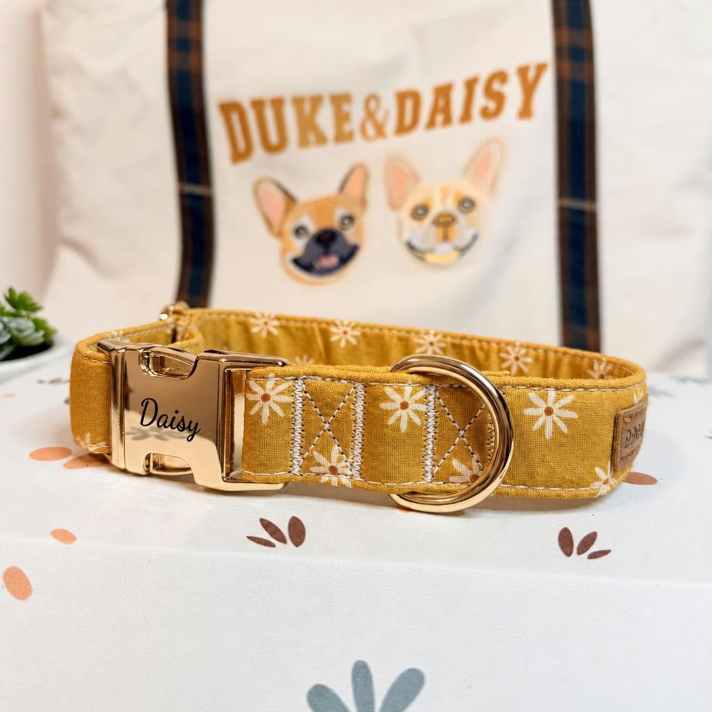 Designed Autumn Daisy Floral Dog Vest Set