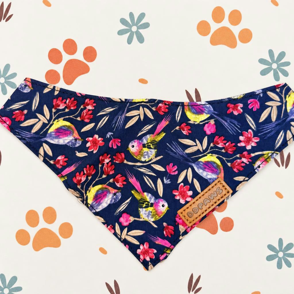 Designed Midnight Melody Floral Dog Vest Set