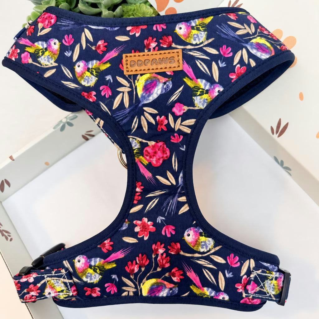 Designed Midnight Melody Floral Dog Vest Set
