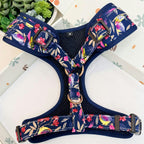 Designed Midnight Melody Floral Dog Vest Set