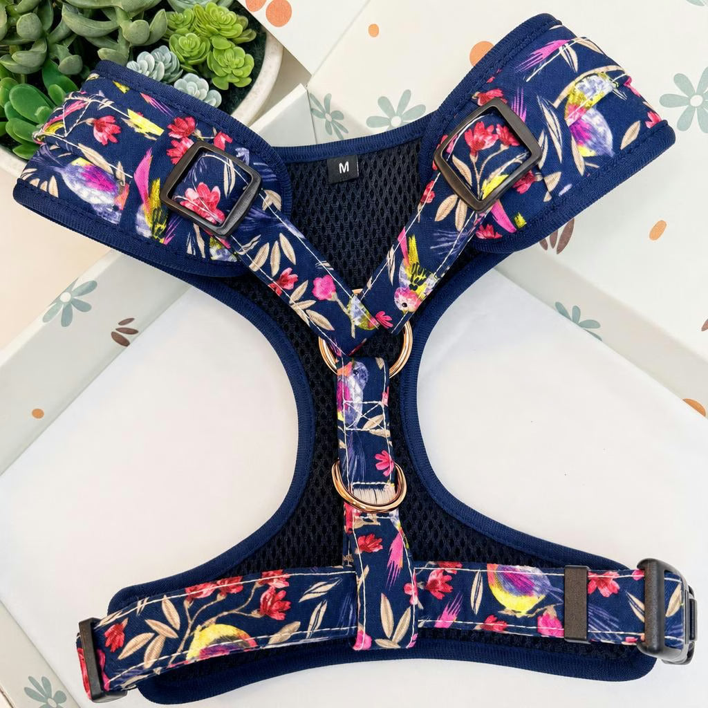 Designed Midnight Melody Floral Dog Vest Set