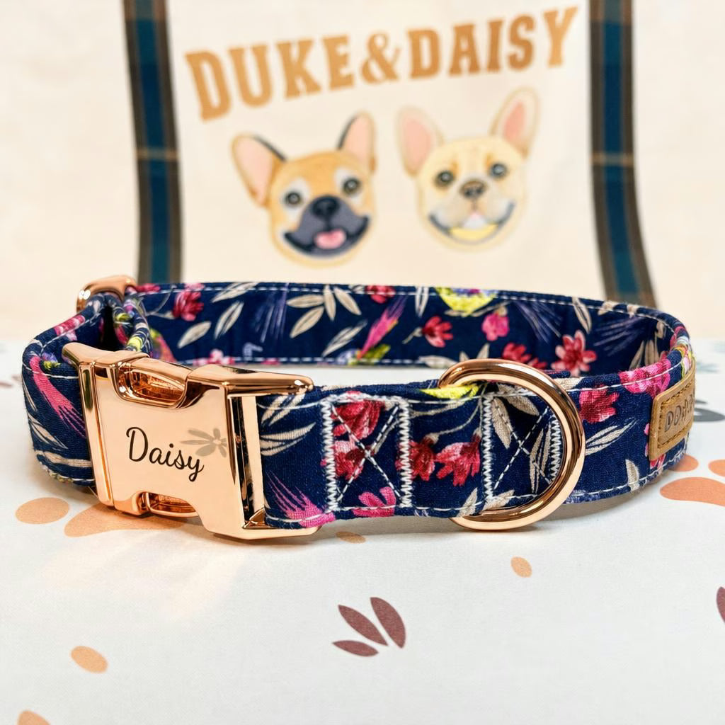 Designed Midnight Melody Floral Dog Vest Set
