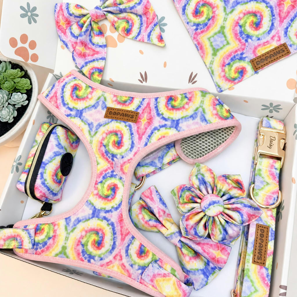 Designed Rainbow Twirl Floral Dog Vest Set