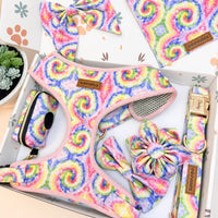 Designed Rainbow Twirl Floral Dog Vest Set