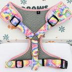 Designed Rainbow Twirl Floral Dog Vest Set