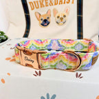 Designed Rainbow Twirl Floral Dog Vest Set