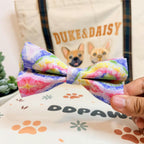 Designed Rainbow Twirl Floral Dog Vest Set