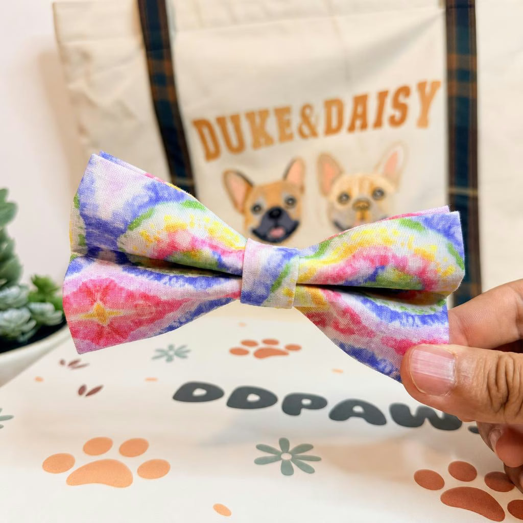 Designed Rainbow Twirl Floral Dog Vest Set