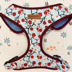 Designed Sakura Bloom Floral Dog Vest Set