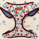 Harness