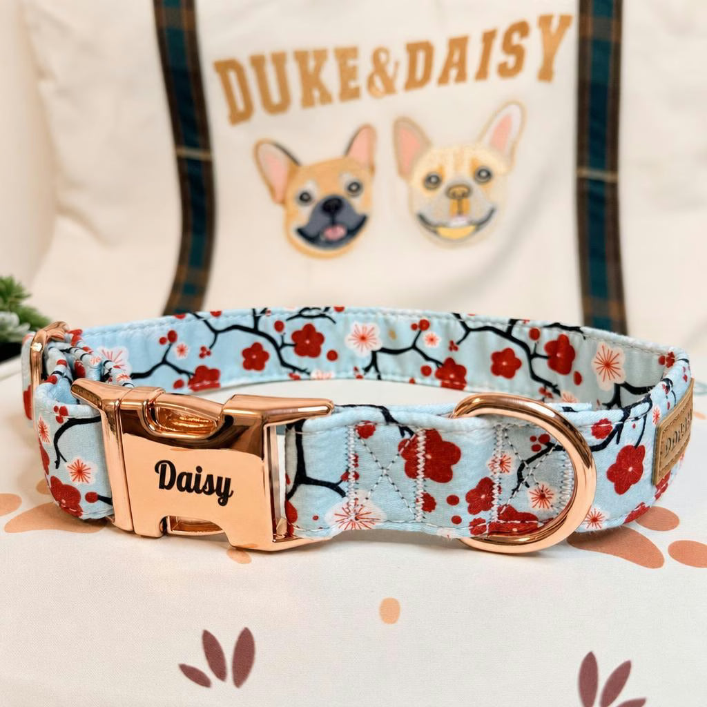 Designed Sakura Bloom Floral Dog Vest Set