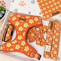 Designed Happy Daisy Floral Dog Vest Set