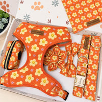 Designed Happy Daisy Floral Dog Vest Set