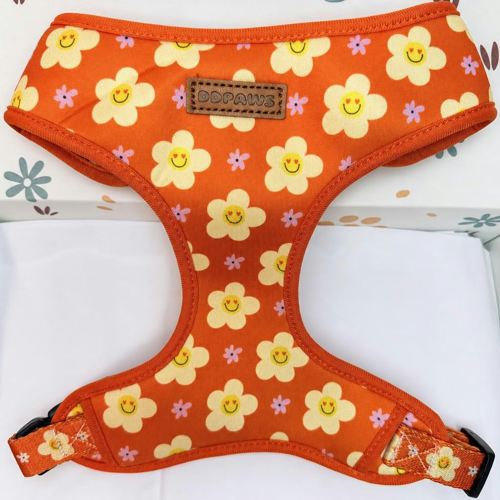Designed Happy Daisy Floral Dog Vest Set