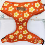 Designed Happy Daisy Floral Dog Vest Set