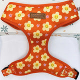 Harness