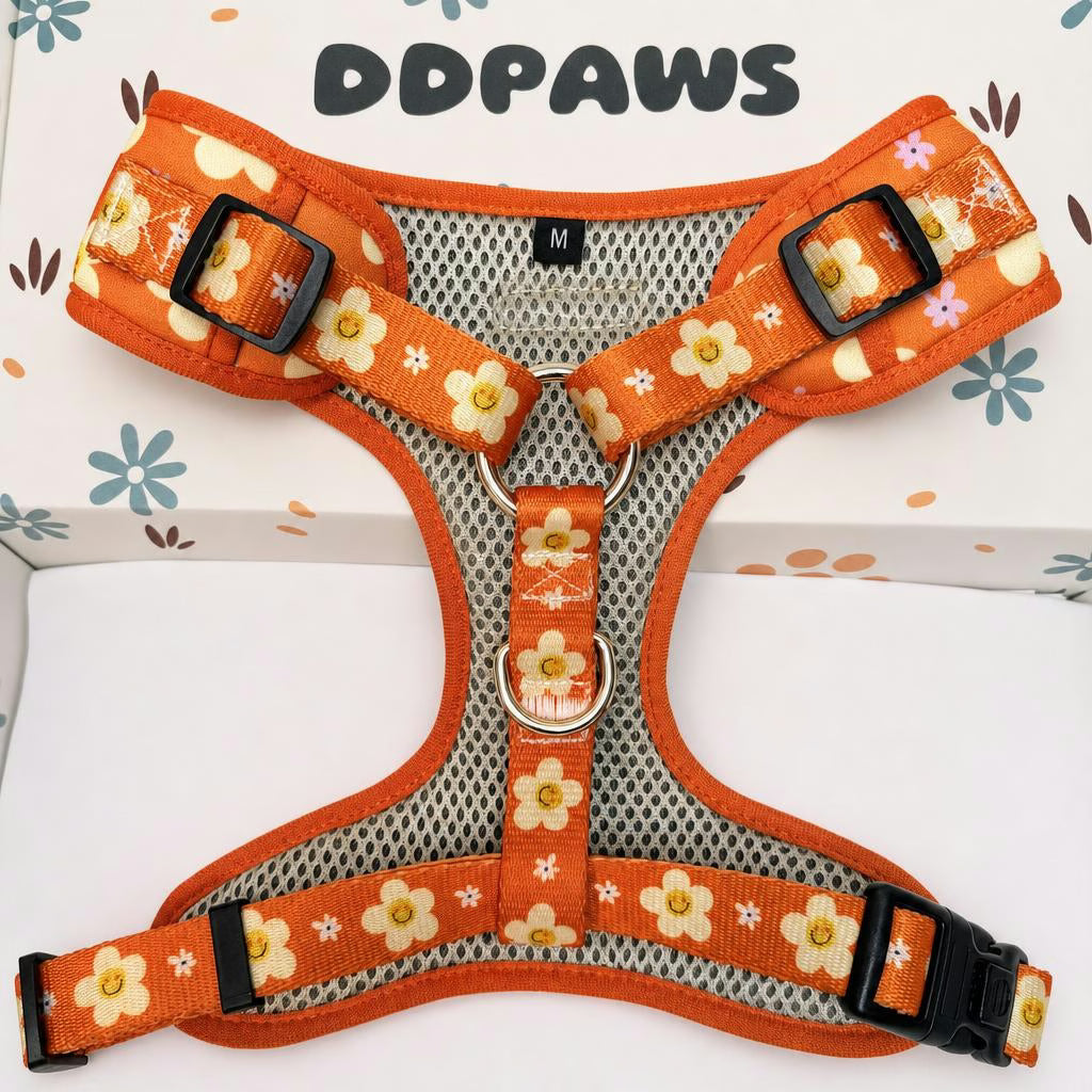 Designed Happy Daisy Floral Dog Vest Set