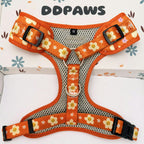 Designed Happy Daisy Floral Dog Vest Set