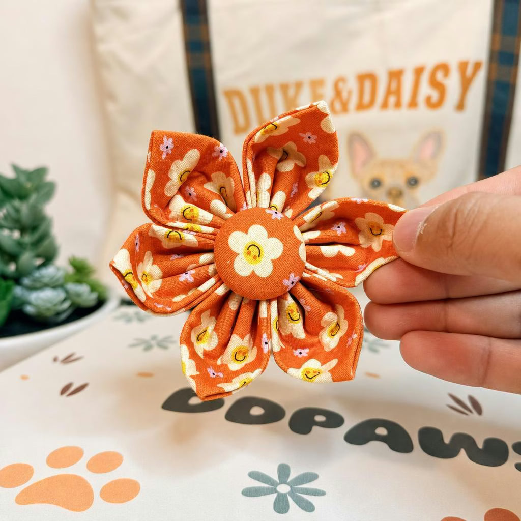 Designed Happy Daisy Floral Dog Vest Set