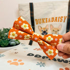 Designed Happy Daisy Floral Dog Vest Set