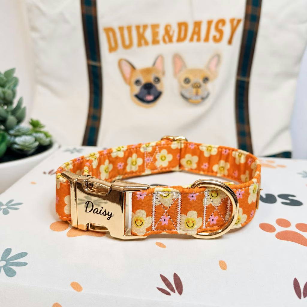 Designed Happy Daisy Floral Dog Vest Set
