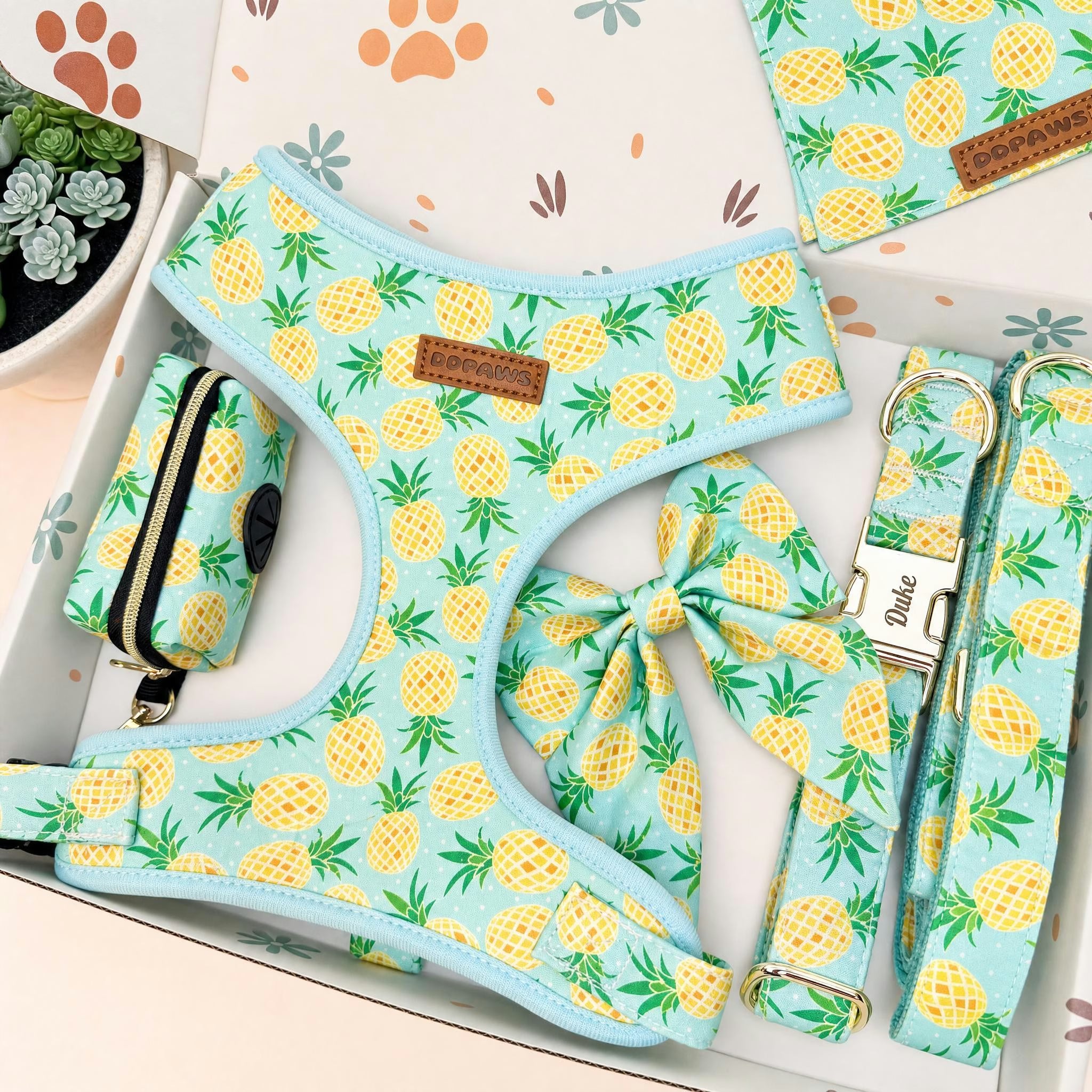 Designed Pineapple Dog Vest Set