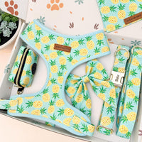 Designed Pineapple Dog Vest Set