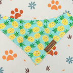 Designed Pineapple Dog Vest Set