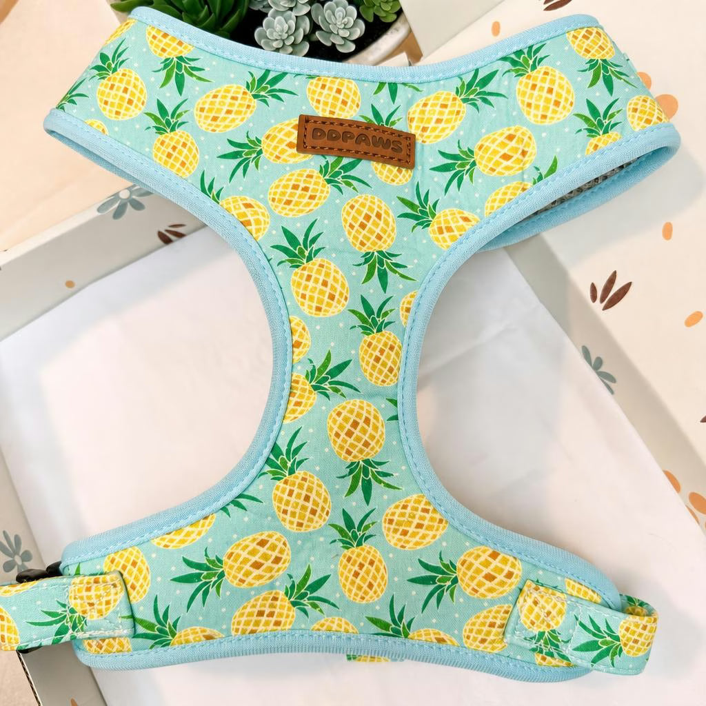 Designed Pineapple Dog Vest Set