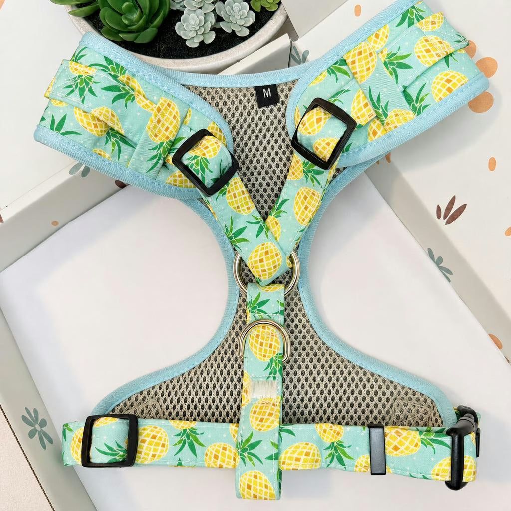 Designed Pineapple Dog Vest Set
