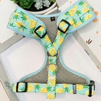 Designed Pineapple Dog Vest Set