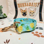 Designed Pineapple Dog Vest Set