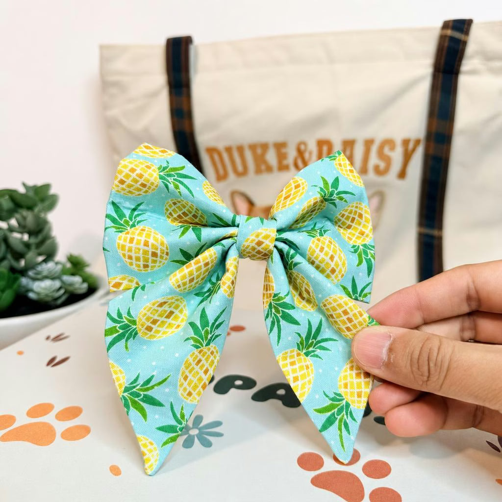 Designed Pineapple Dog Vest Set
