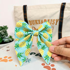 Designed Pineapple Dog Vest Set