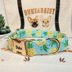 Designed Pineapple Dog Vest Set