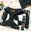 A dog harness set displayed in a gift box, featuring a black harness with a white and yellow star pattern, a matching leash, a small zippered pouch, and a folded blanket. The brand name 'Duke' is visible on the leather patches and hardware.