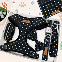 Designed Star Dog Vest Set