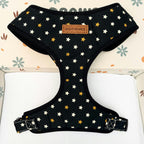 Designed Star Dog Vest Set