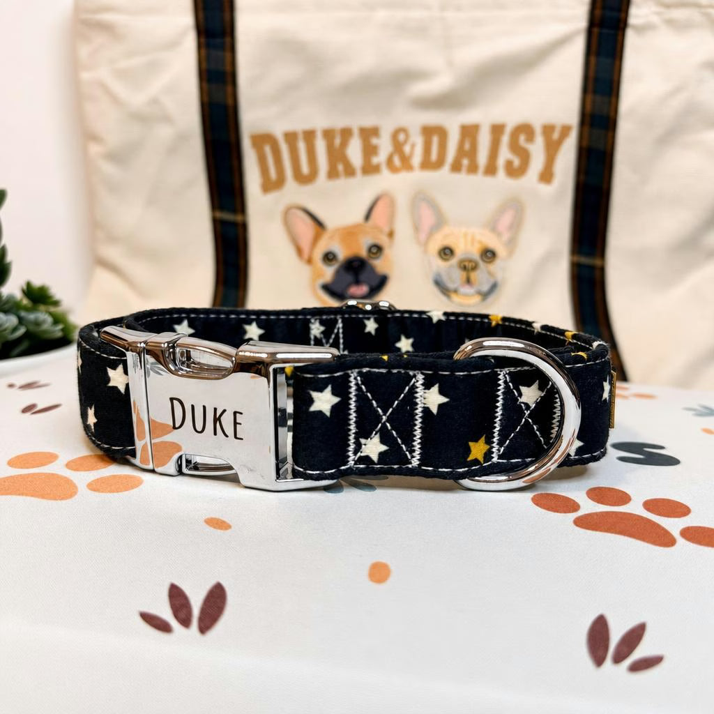 Designed Star Dog Vest Set