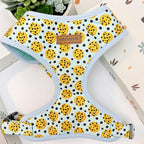 Designed Cookie Dog Vest Set