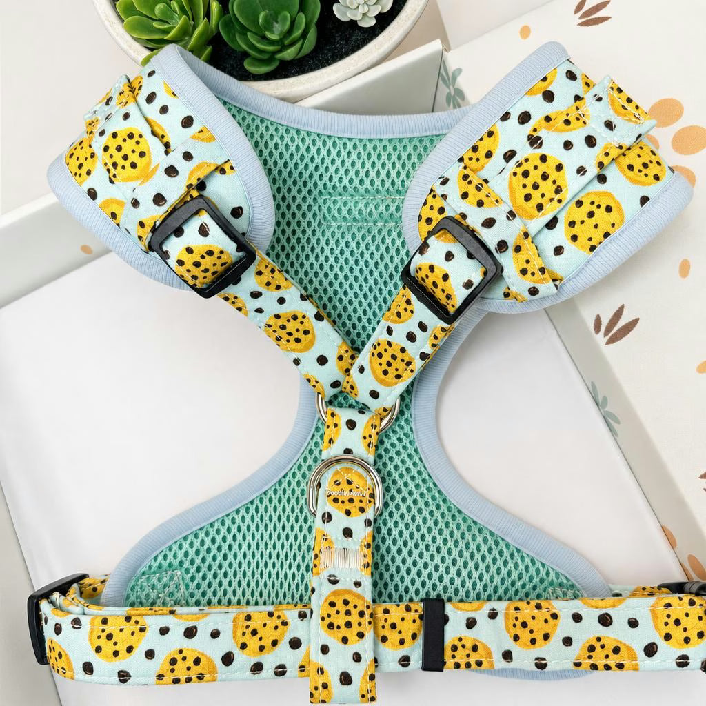 Designed Cookie Dog Vest Set