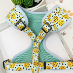 Designed Cookie Dog Vest Set