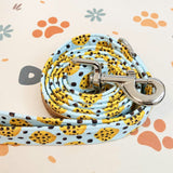 Leash