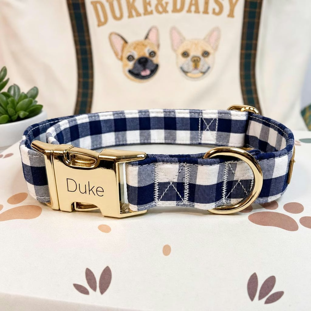 Designed Picnic Plaid Dog Vest Set
