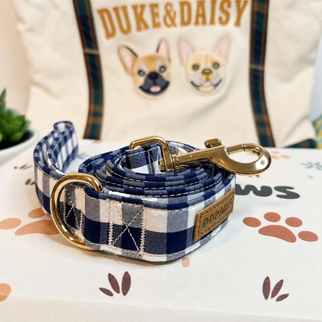 Designed Picnic Plaid Dog Vest Set