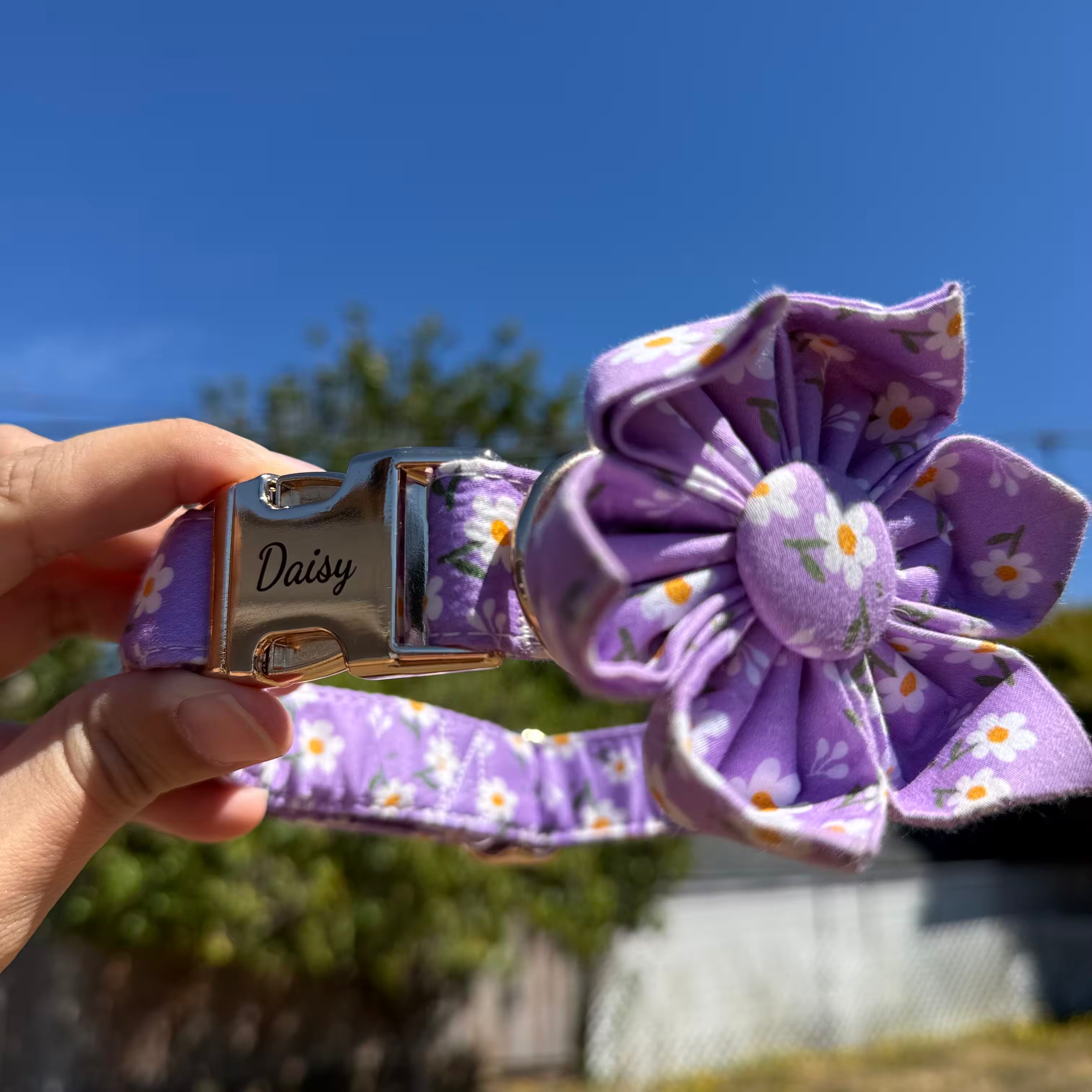 Designed Purple Daisy Floral Dog Vest Set